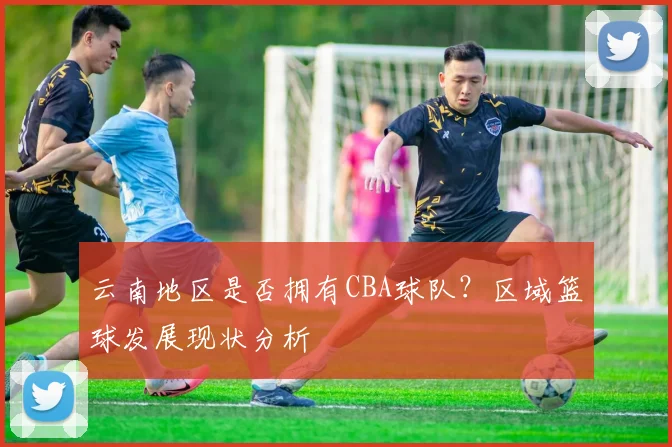 云南地区是否拥有CBA球队？区域篮球发展现状分析