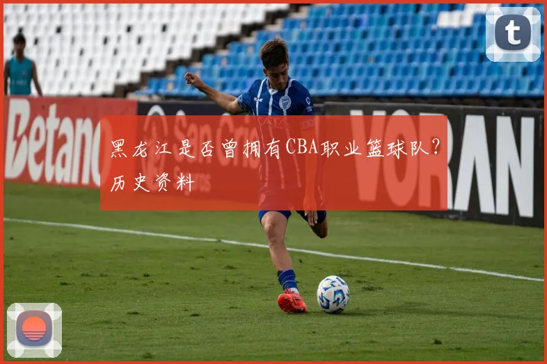 黑龙江是否曾拥有CBA职业篮球队？历史资料