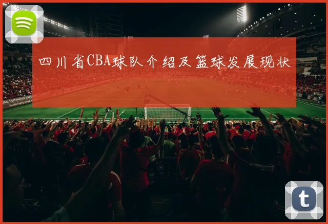 四川省CBA球队介绍及篮球发展现状