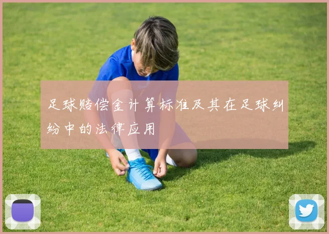 足球赔偿金计算标准及其在足球纠纷中的法律应用