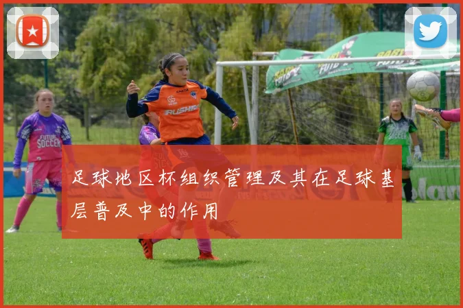 足球地区杯组织管理及其在足球基层普及中的作用